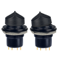 T1-T-Centered-and-Maintained